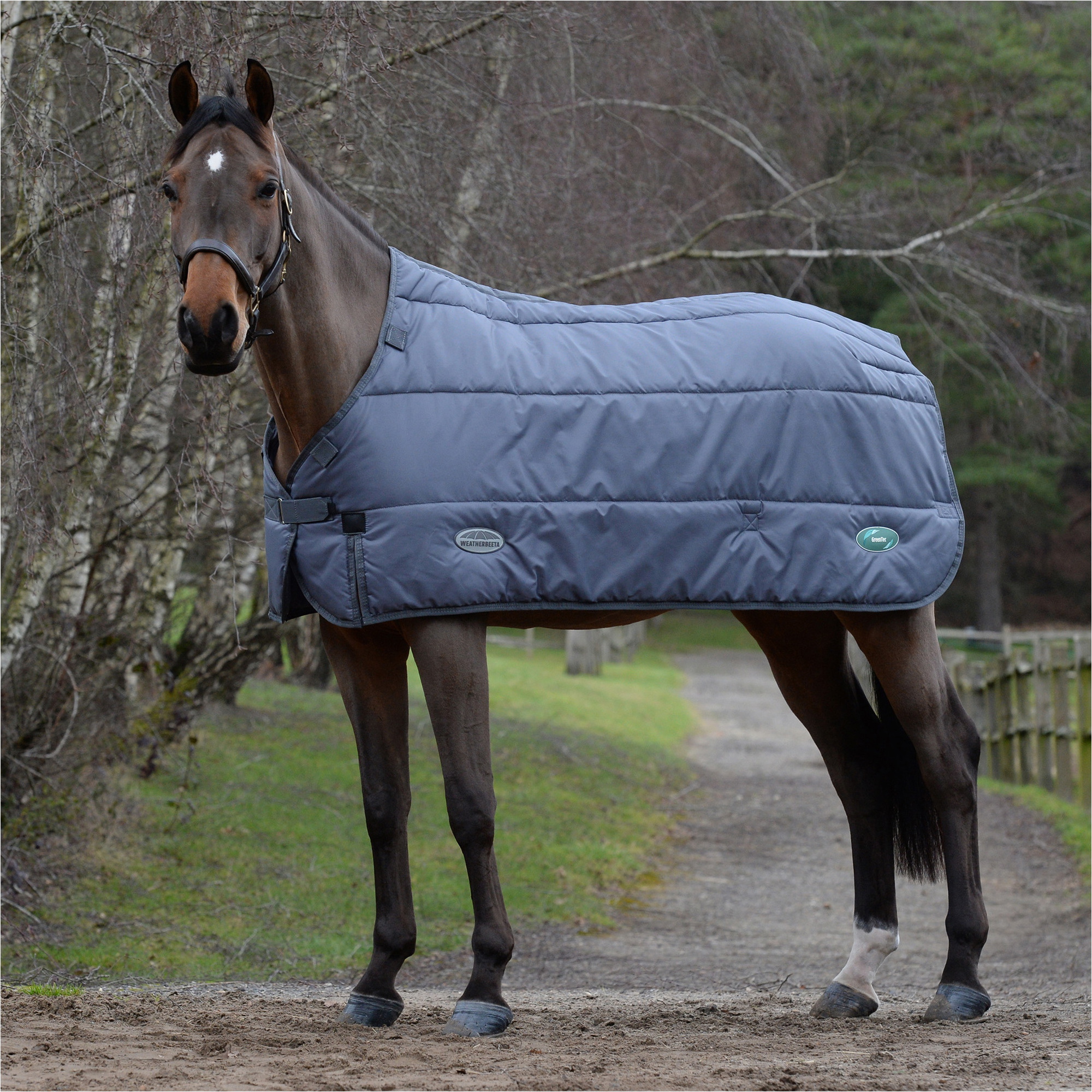Weatherbeeta Grün - Tec Standard Hals Medium / Lite Stabil Liner 1021797 - Grey